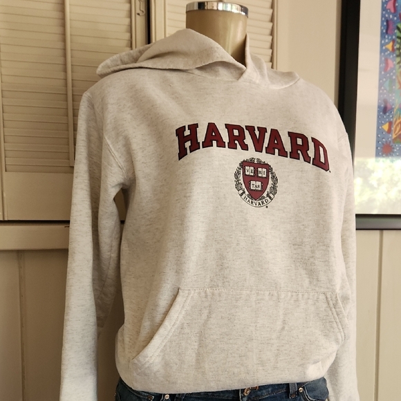 Harvard Beige Hoodie - Picture 3 of 7